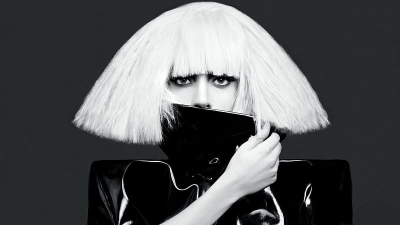 Álbum “The Fame”